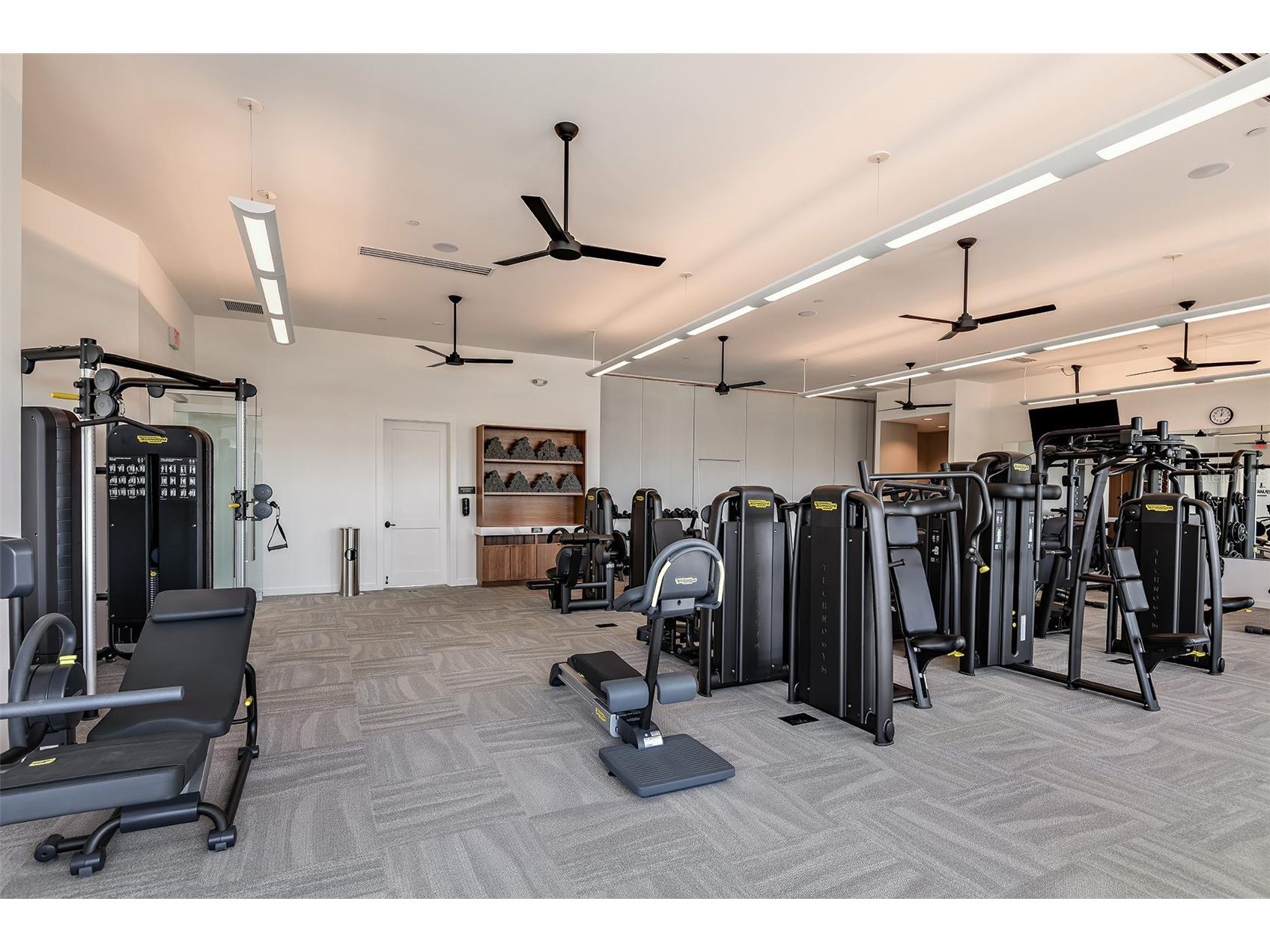 3910 Immacolata Way Wesley Chapel FL 33543 TB8471312 image42