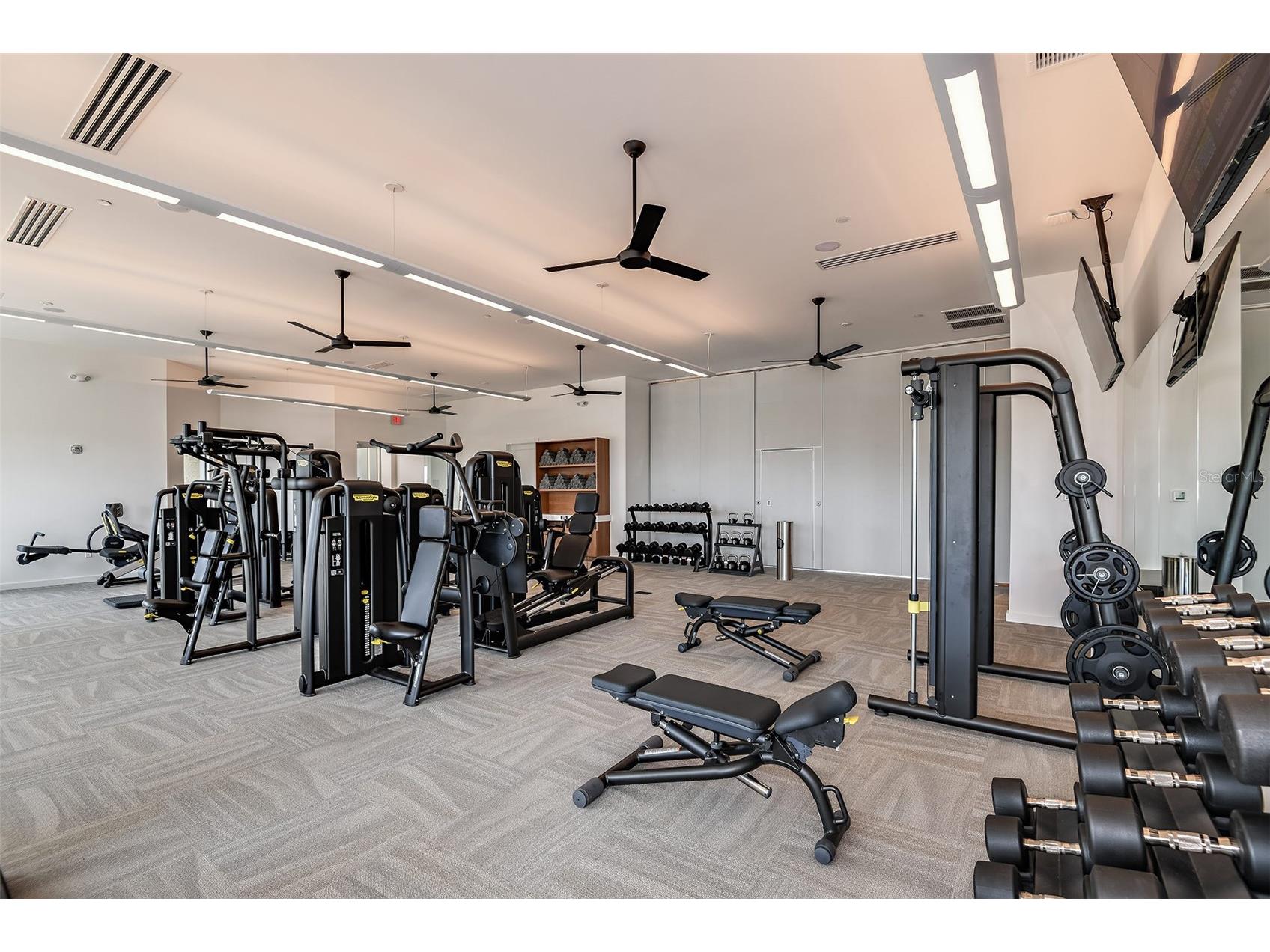 3910 Immacolata Way Wesley Chapel FL 33543 TB8471312 image43
