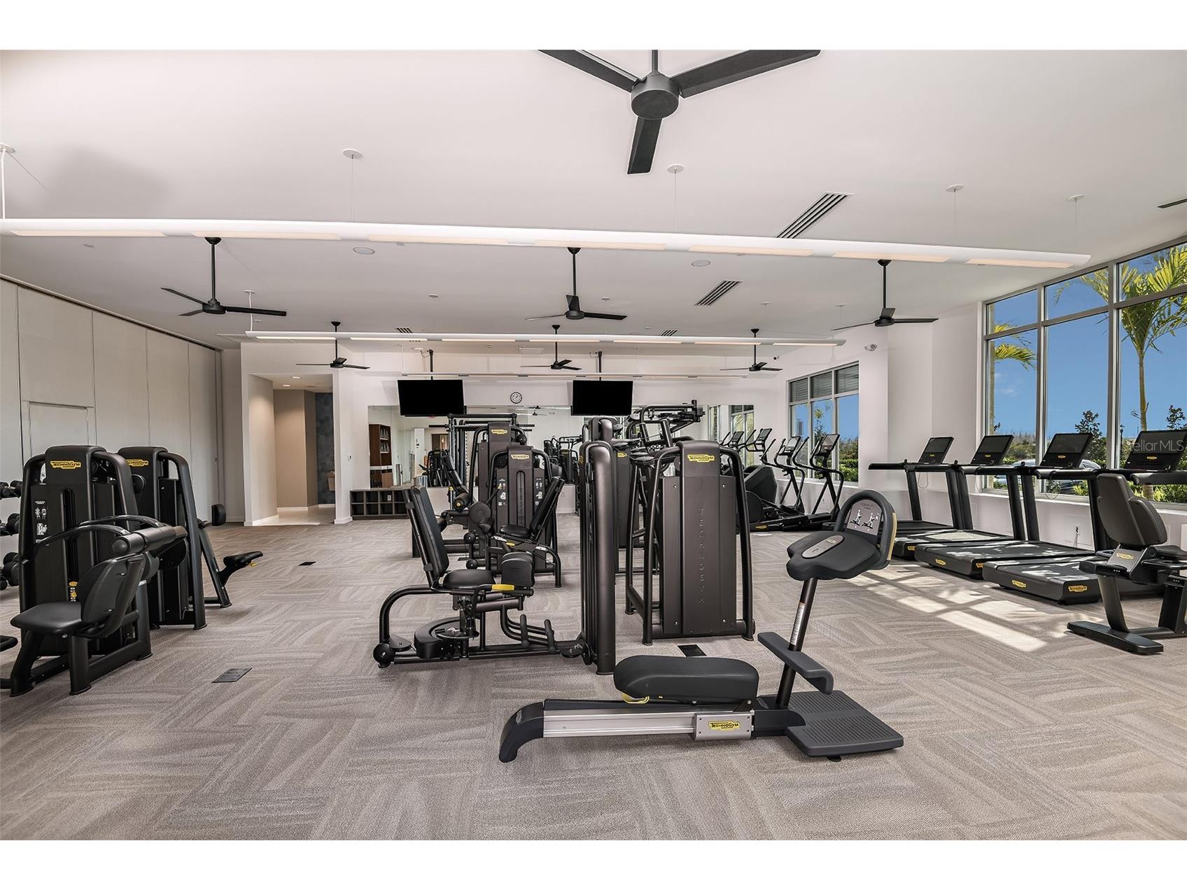 3910 Immacolata Way Wesley Chapel FL 33543 TB8471312 image44