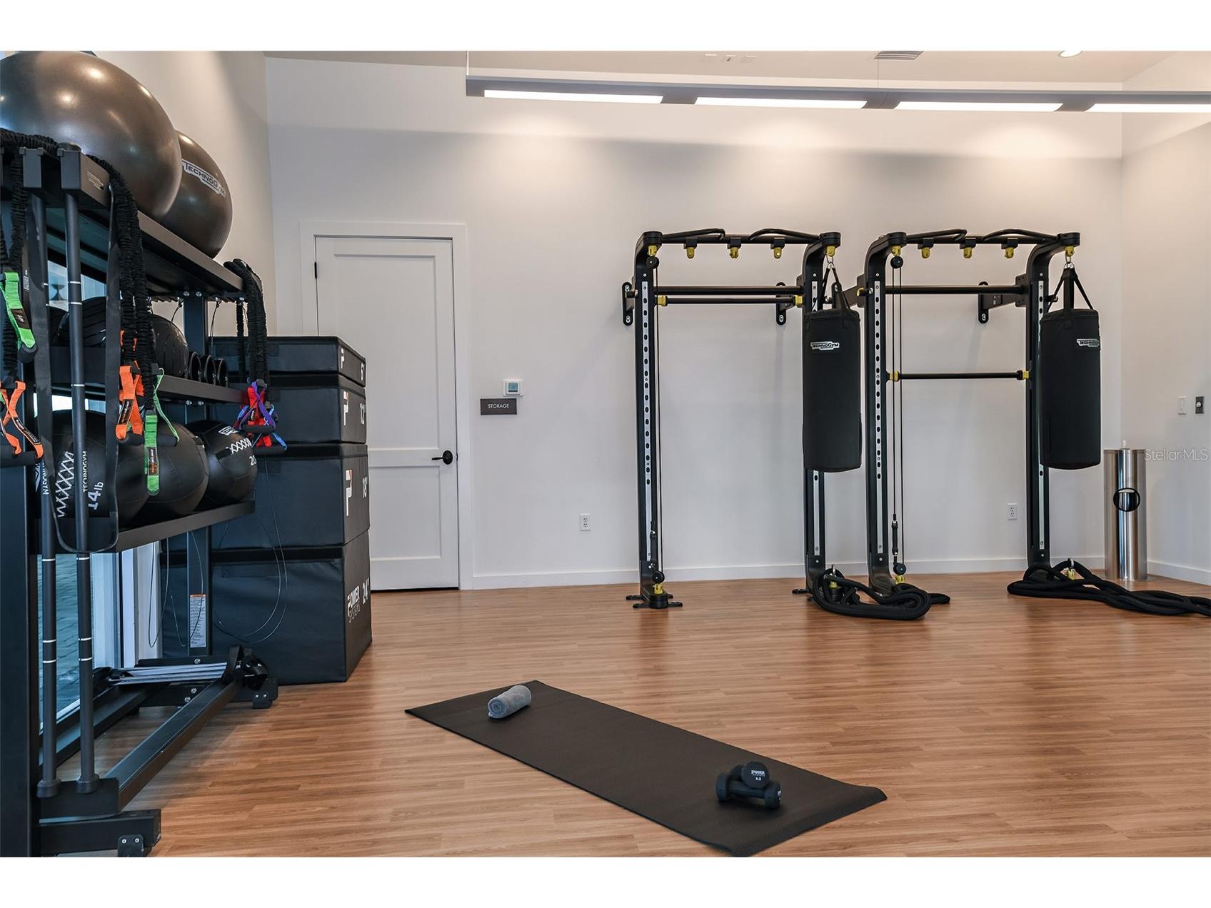 3910 Immacolata Way Wesley Chapel FL 33543 TB8471312 image46