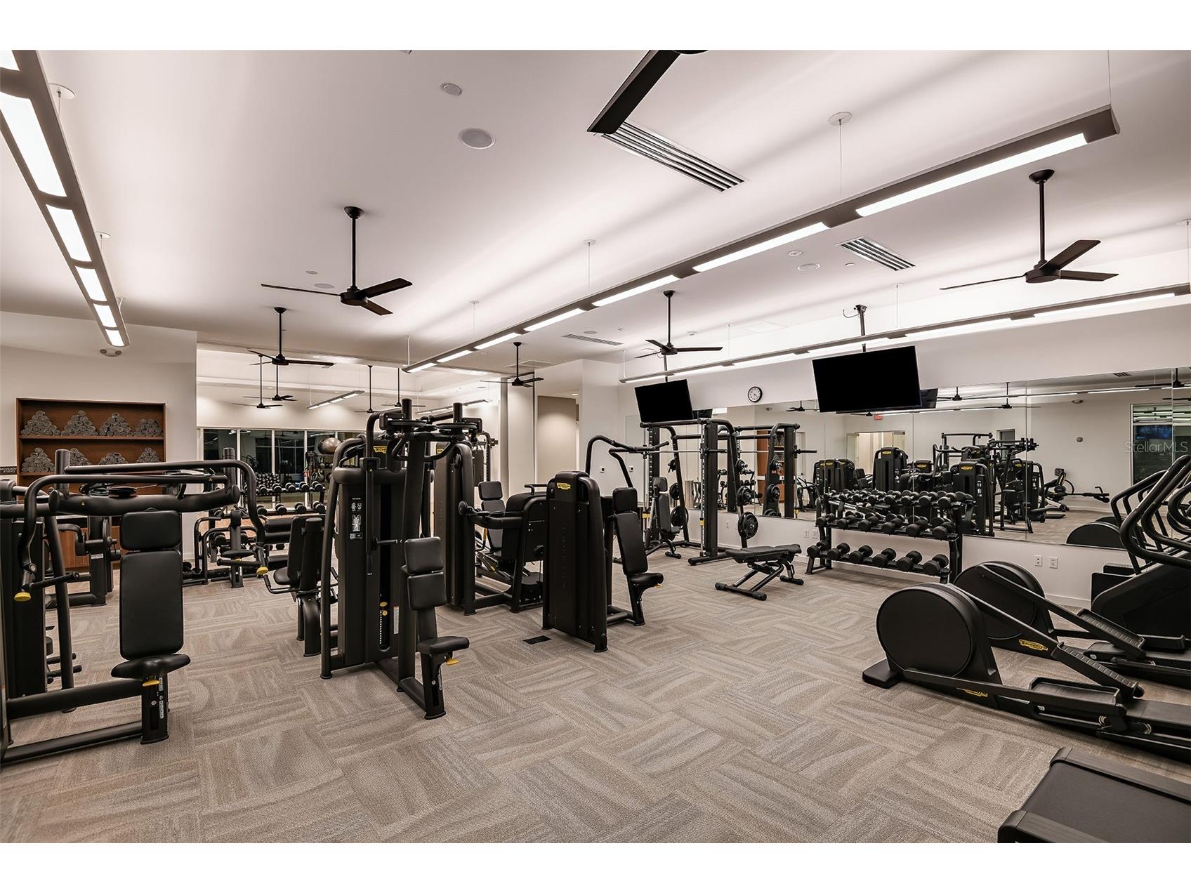 3910 Immacolata Way Wesley Chapel FL 33543 TB8471312 image49