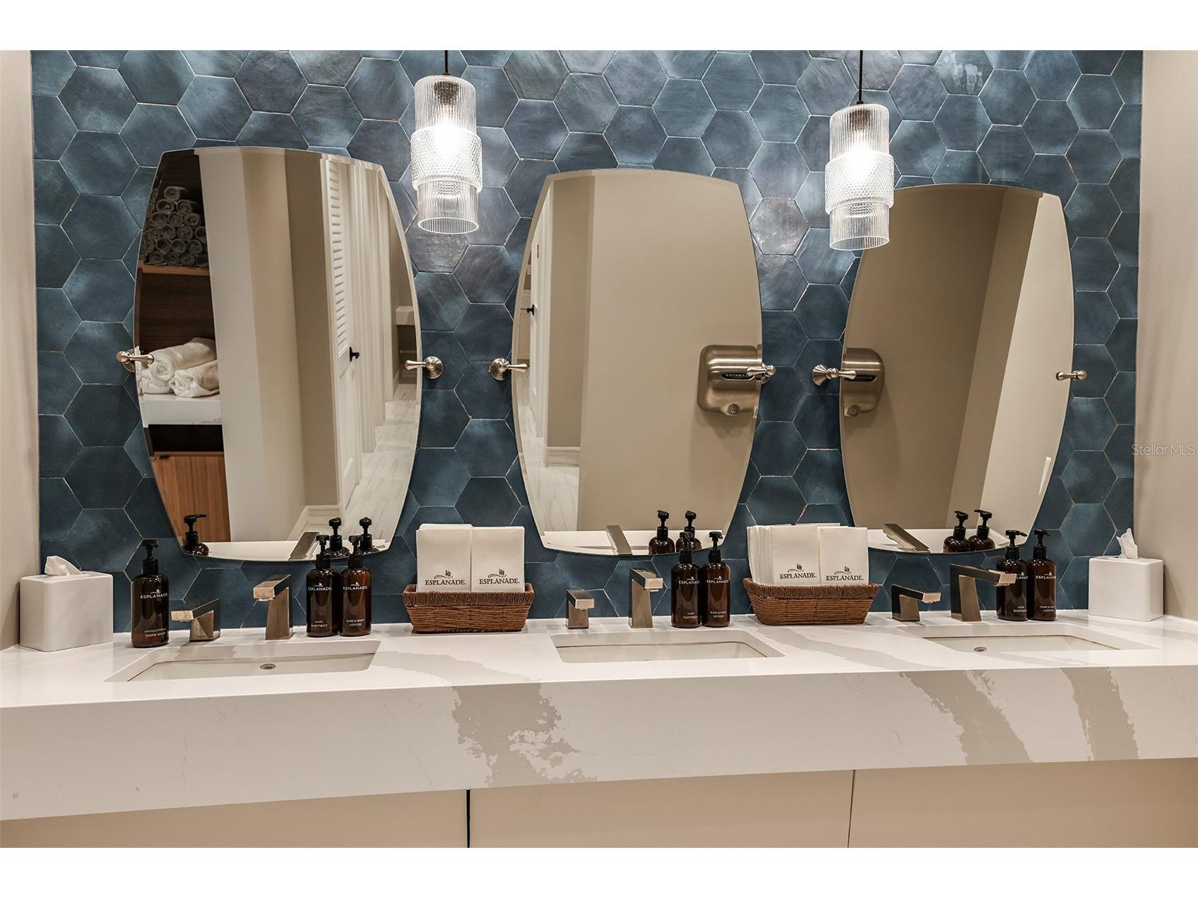 3910 Immacolata Way Wesley Chapel FL 33543 TB8471312 image52