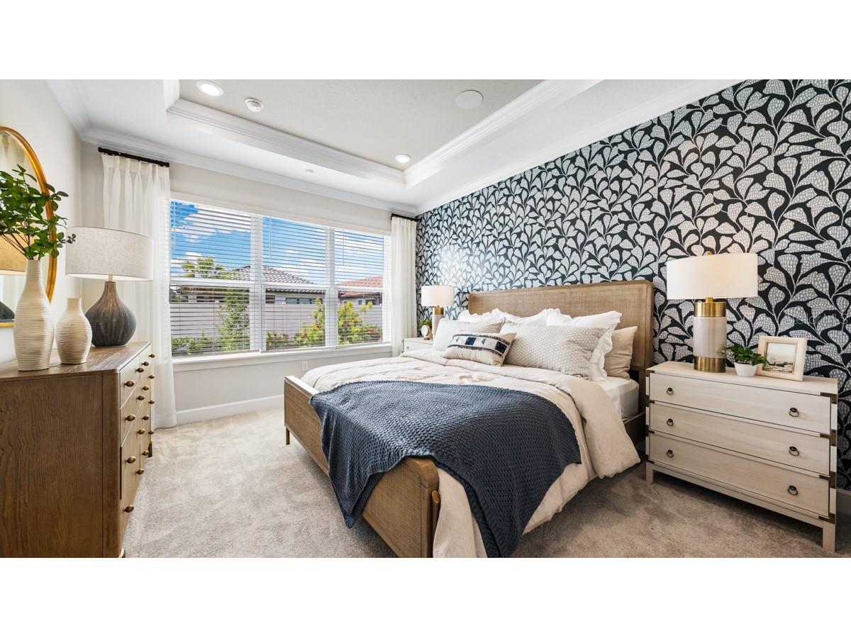 3910 Immacolata Way Wesley Chapel FL 33543 TB8471312 image6