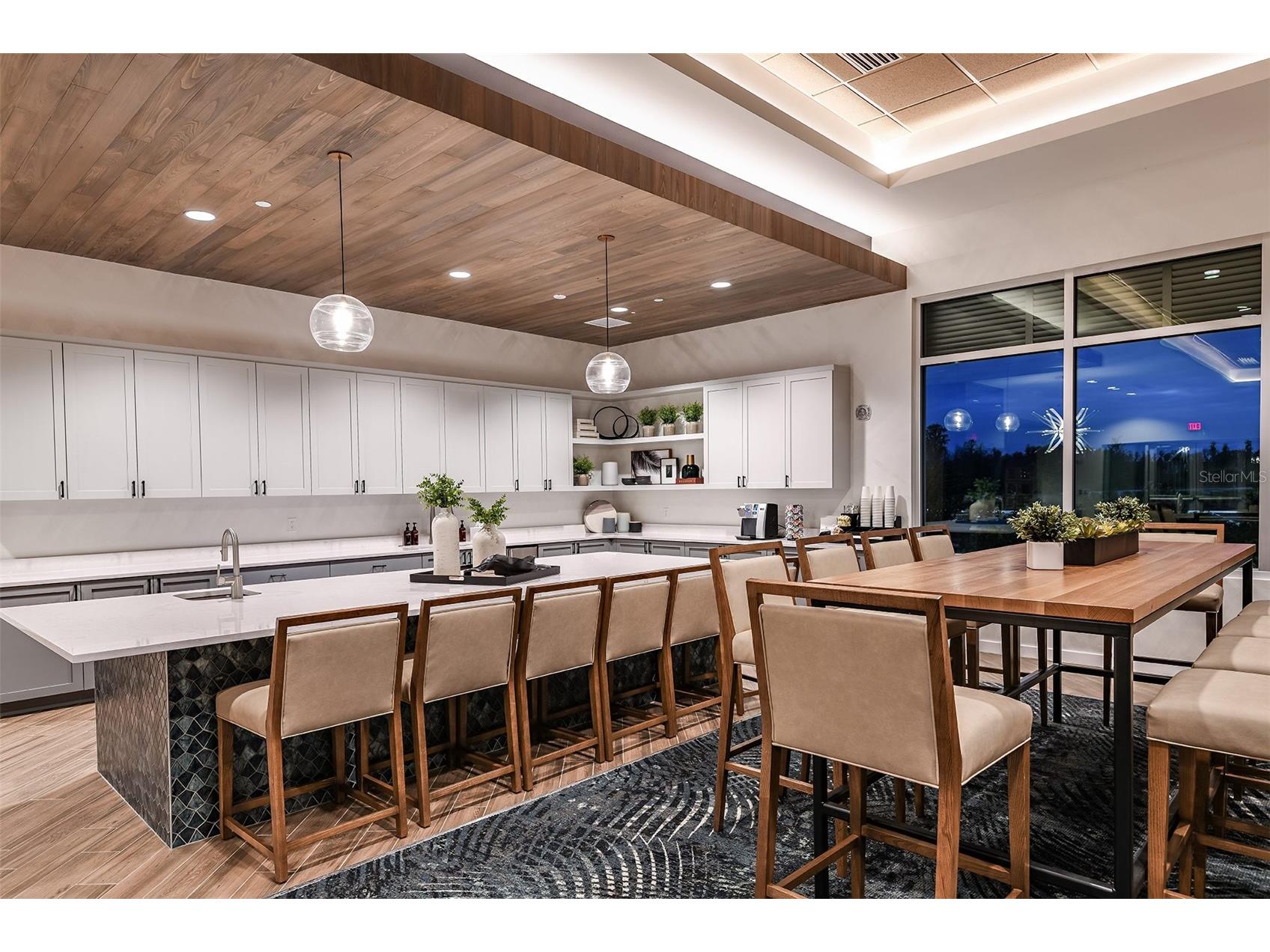 3910 Immacolata Way Wesley Chapel FL 33543 TB8471312 image65