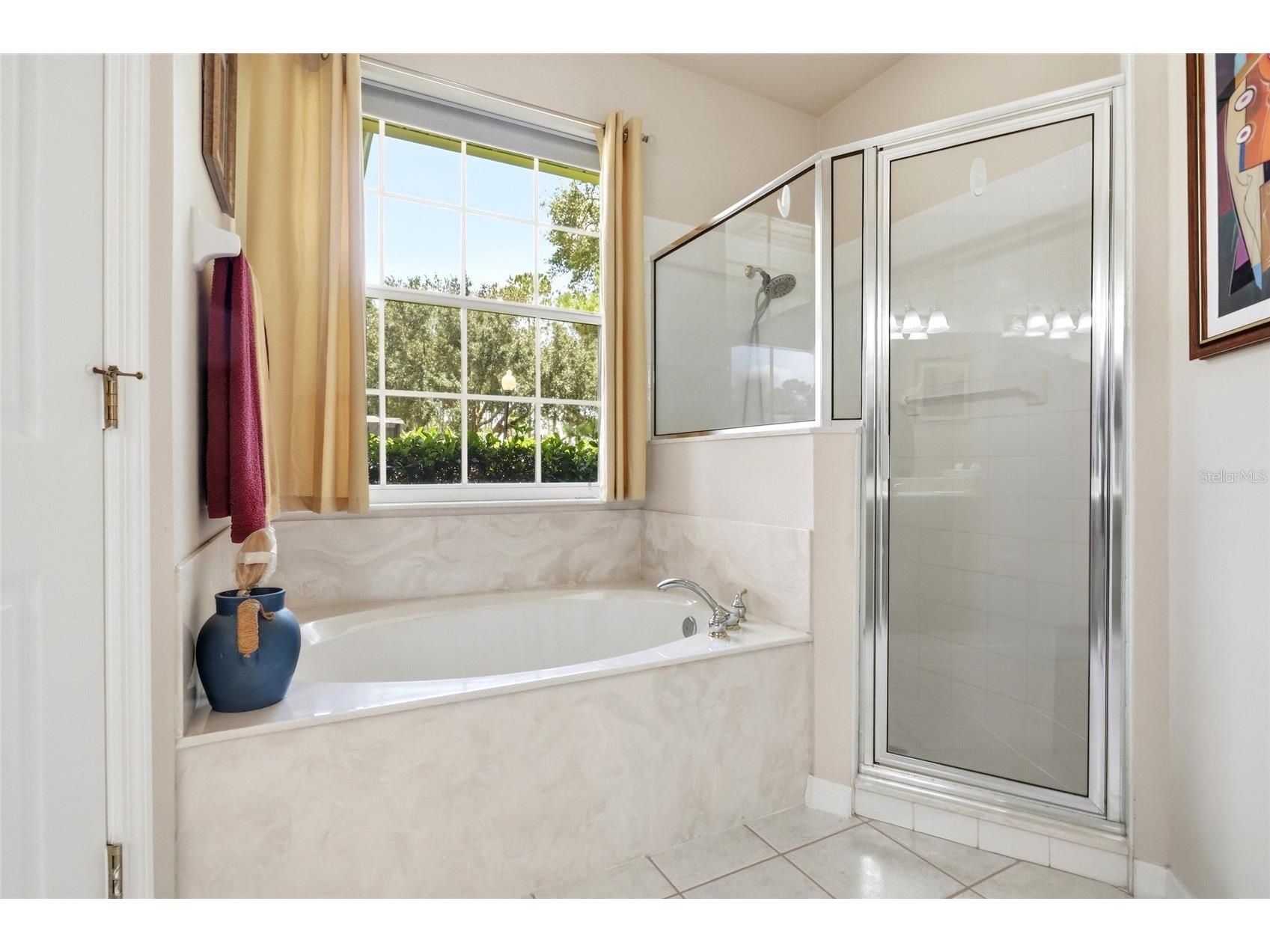 3910 Liberty Hill Drive Clermont FL 34711 O6425373 image11