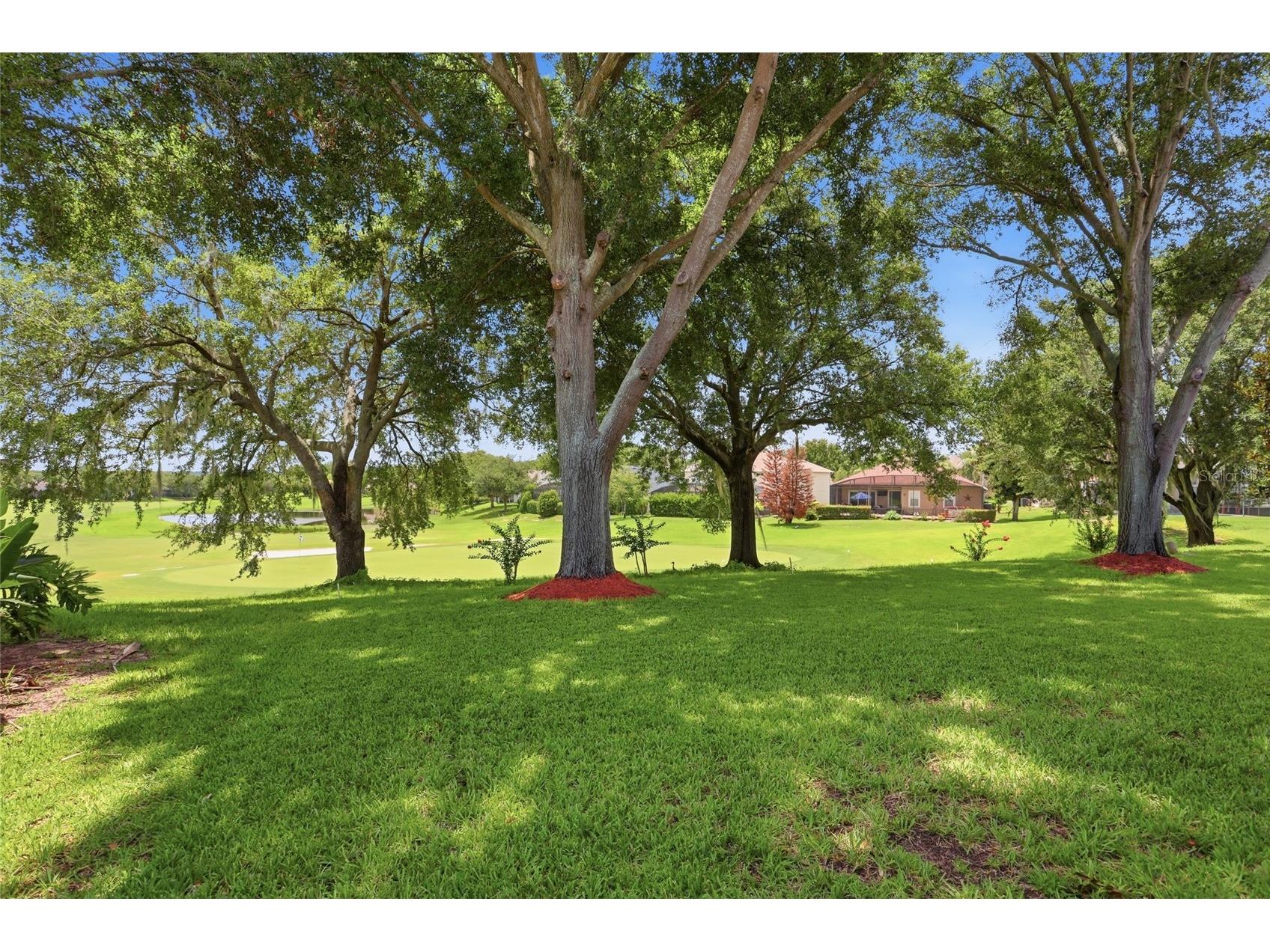 3910 Liberty Hill Drive Clermont FL 34711 O6425373 image43