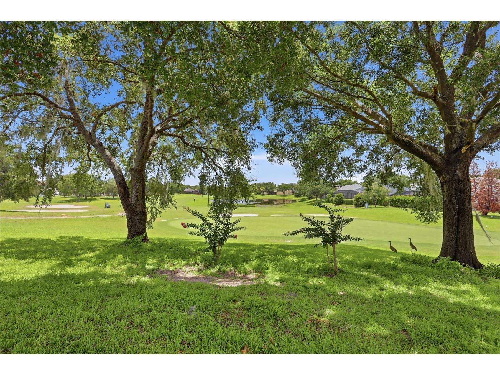 3910 Liberty Hill Drive Clermont FL 34711 O6425373 image44