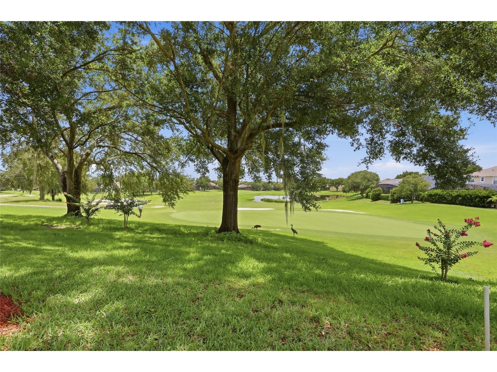 3910 Liberty Hill Drive Clermont FL 34711 O6425373 image48
