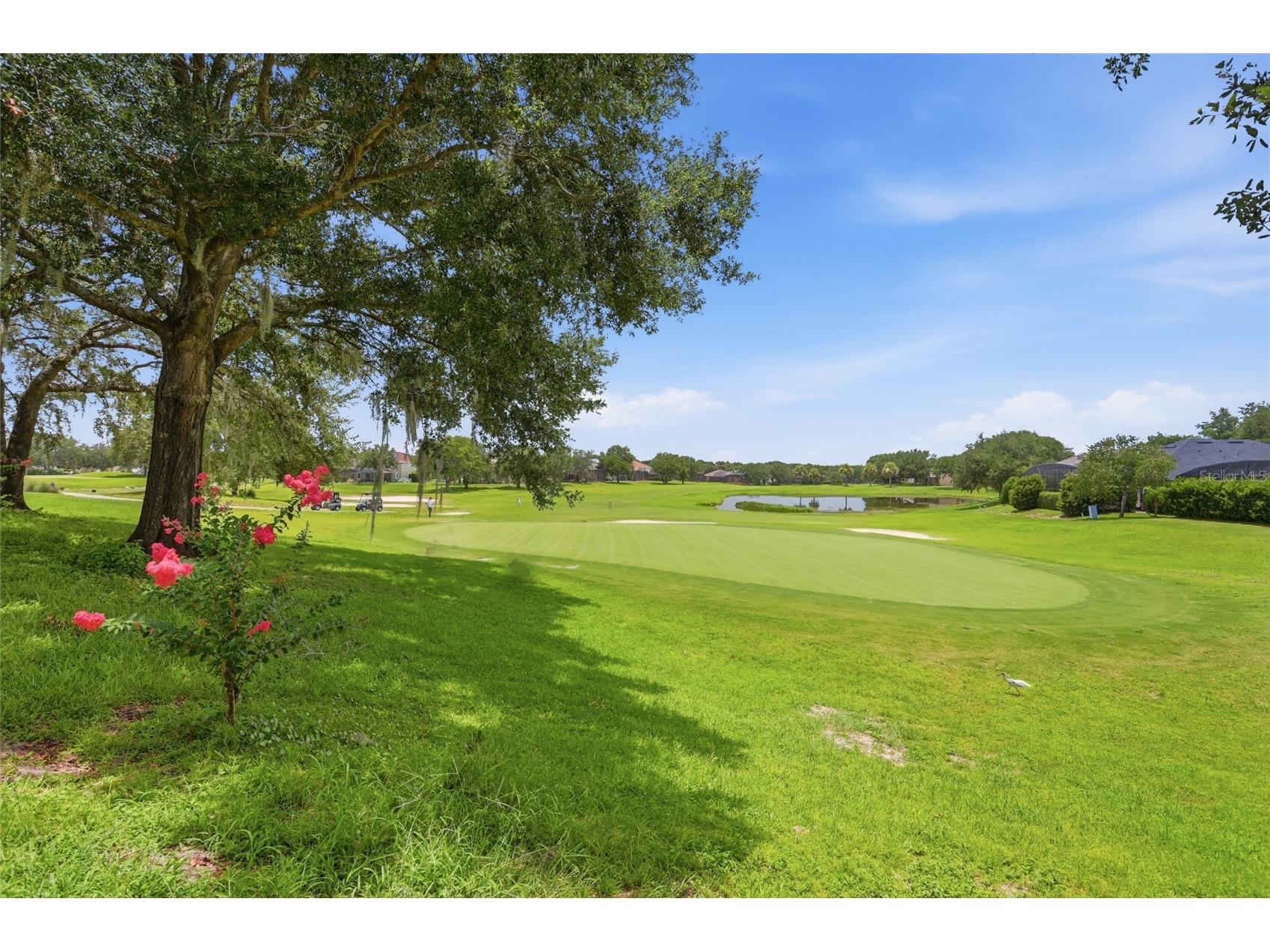 3910 Liberty Hill Drive Clermont FL 34711 O6425373 image49
