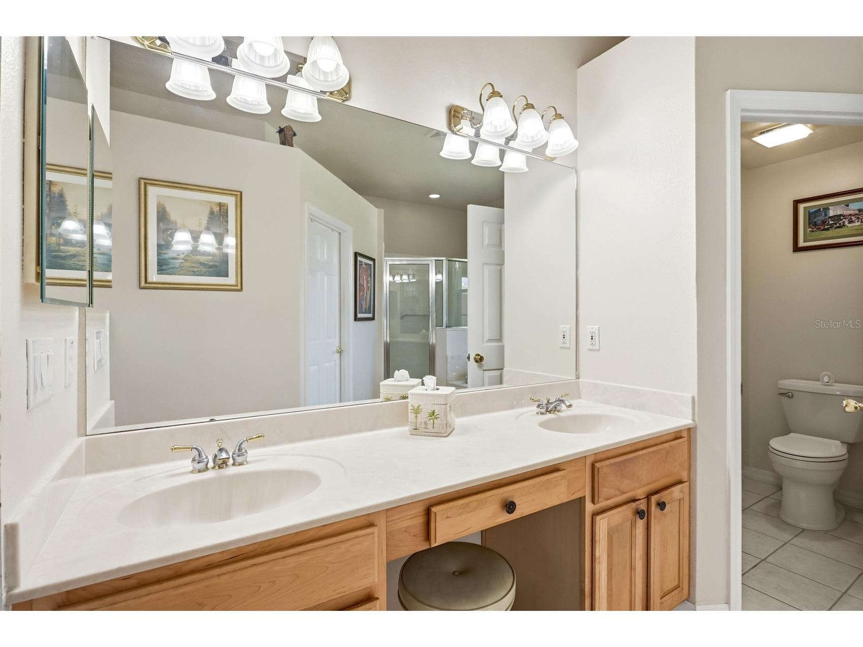3910 Liberty Hill Drive Clermont FL 34711 O6425373 image9