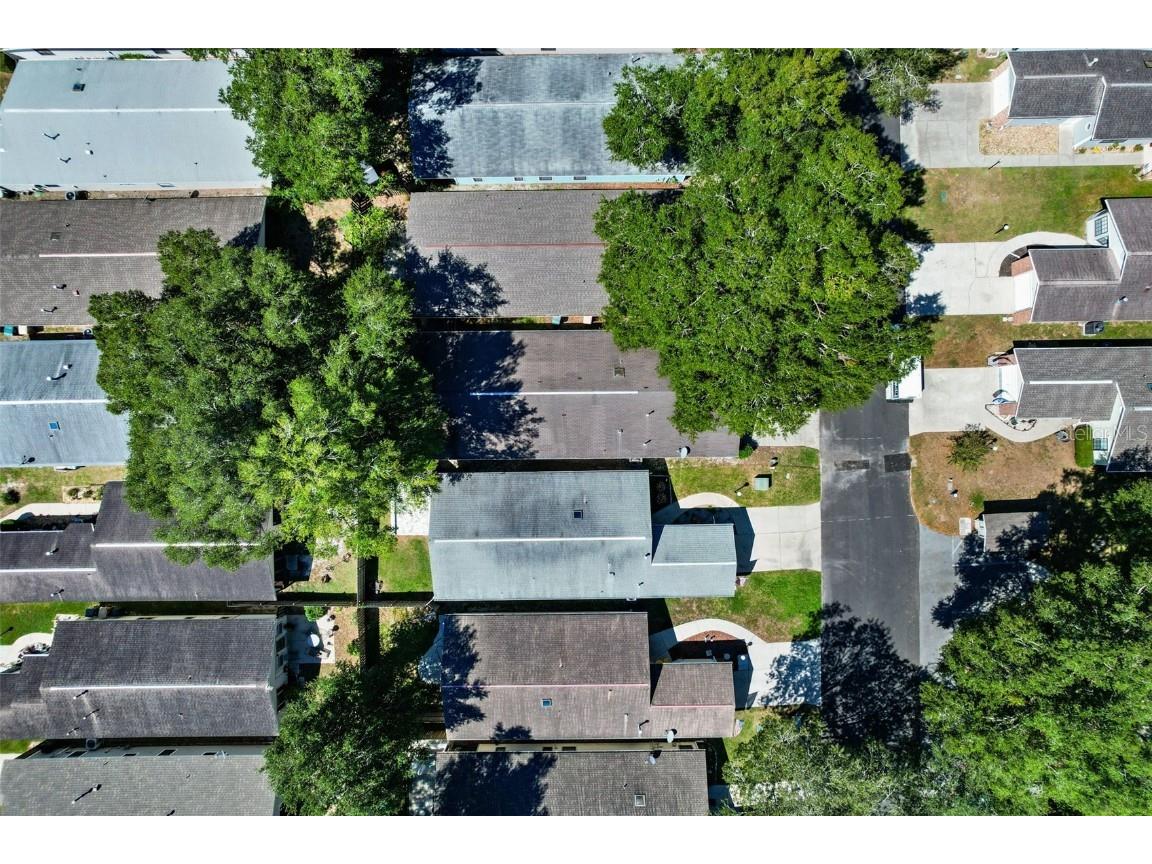 3910 NE 22 Lane Ocala FL 34470 S5135565 image22