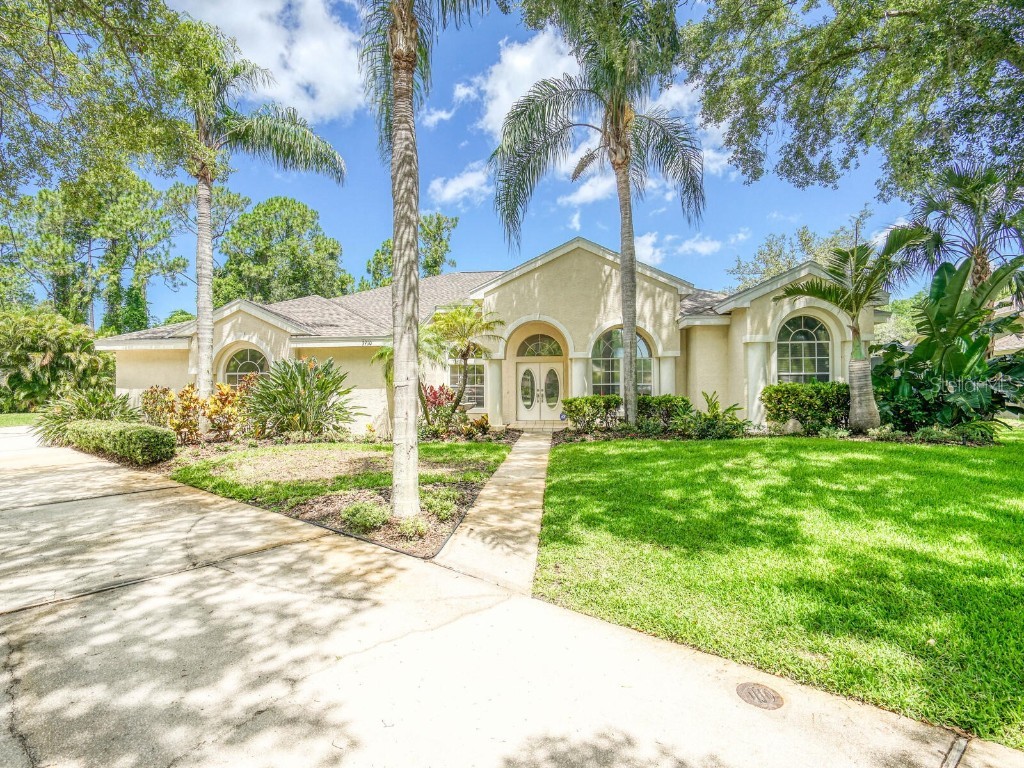 3910 Saywood Court Palm Harbor FL 34685 TB8388685 image1