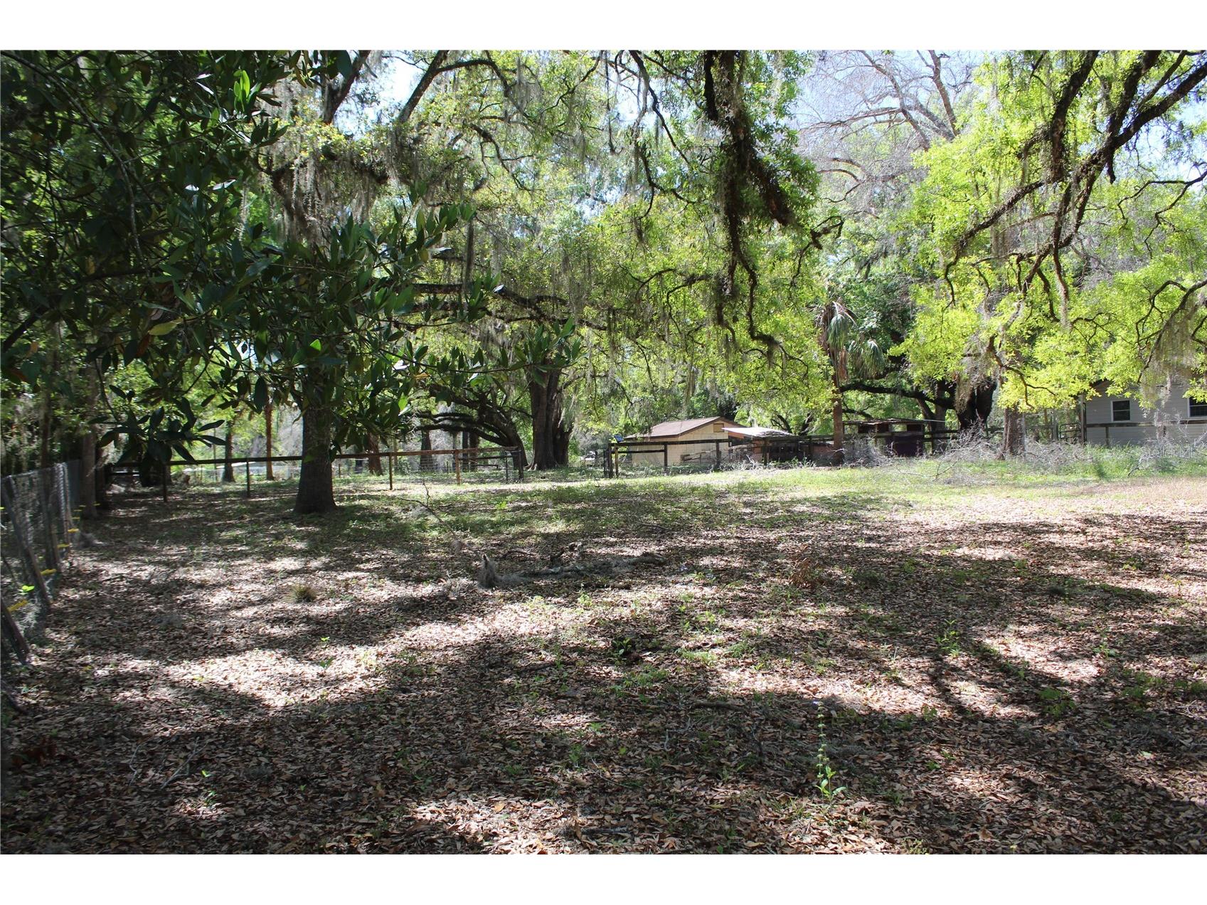 3910 SE 52nd Street Ocala FL 34480 OM719398 image27