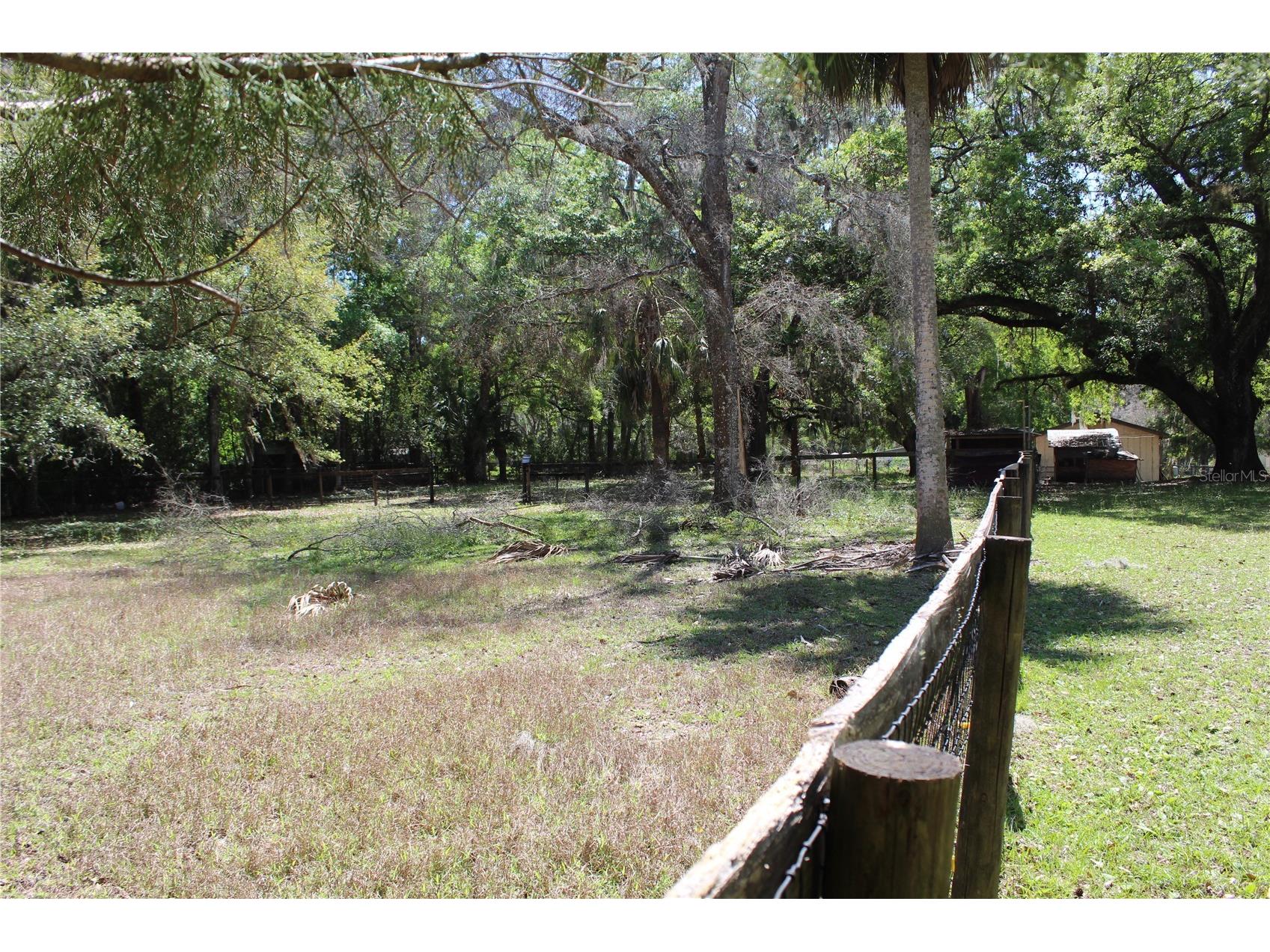 3910 SE 52nd Street Ocala FL 34480 OM719398 image28