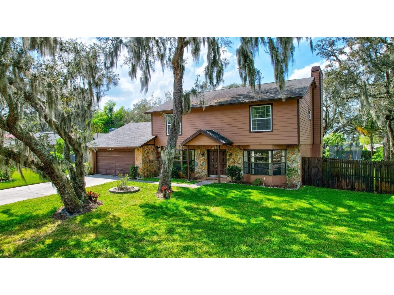 3911 Applegate Circle Brandon FL 33511 T3512154 image1