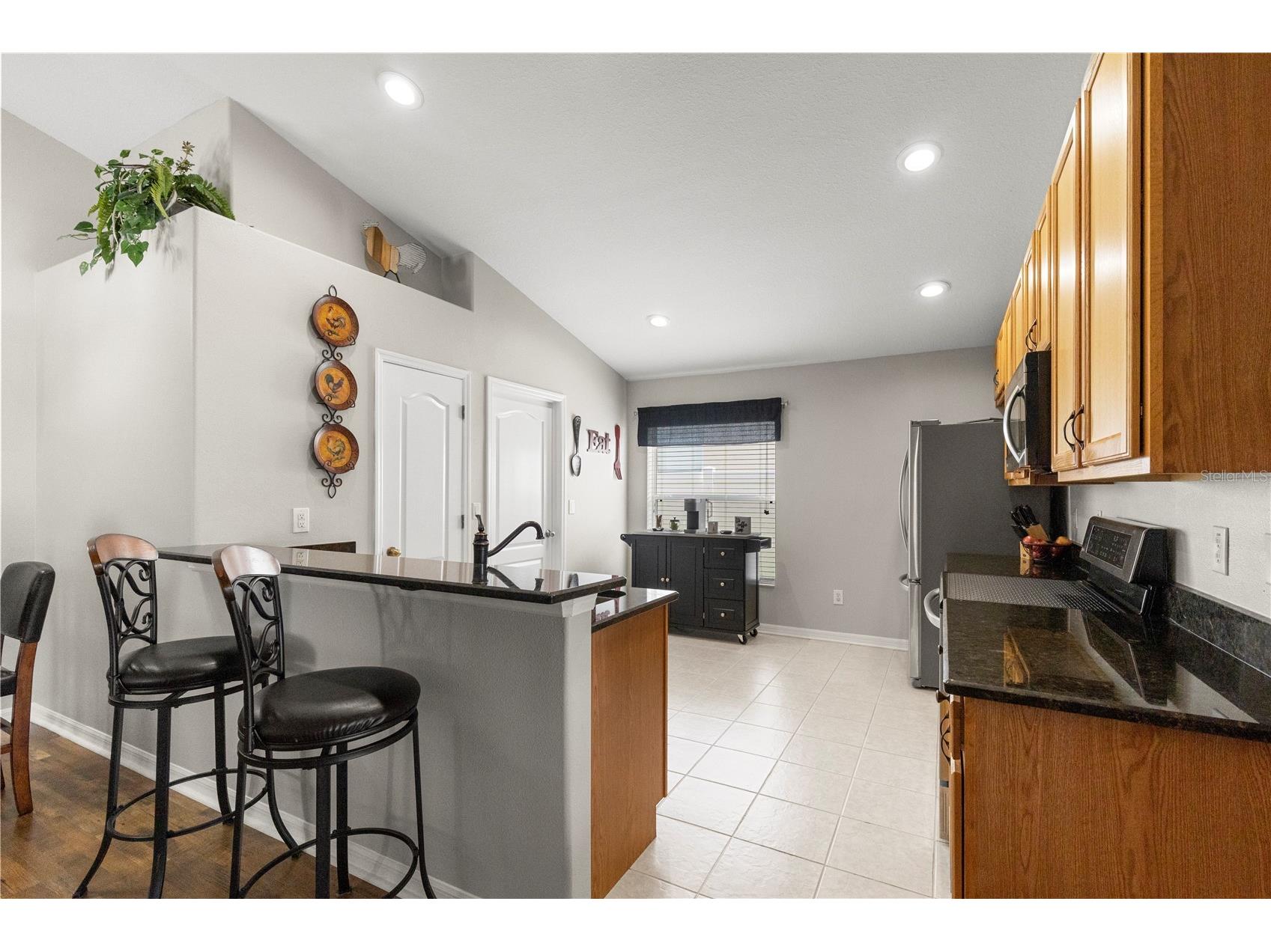 3911 Langdrum Drive Wesley Chapel FL 33543 TB8513320 image17