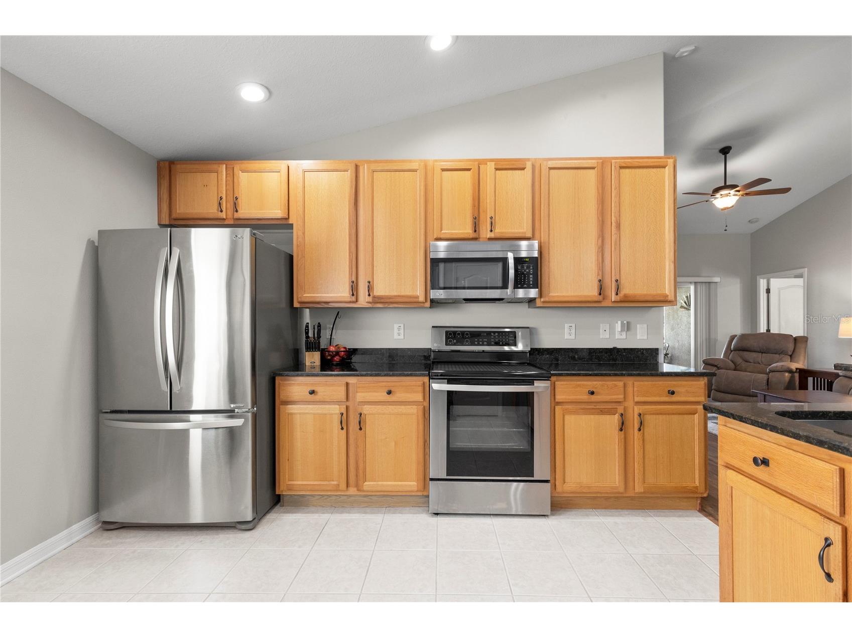 3911 Langdrum Drive Wesley Chapel FL 33543 TB8513320 image19
