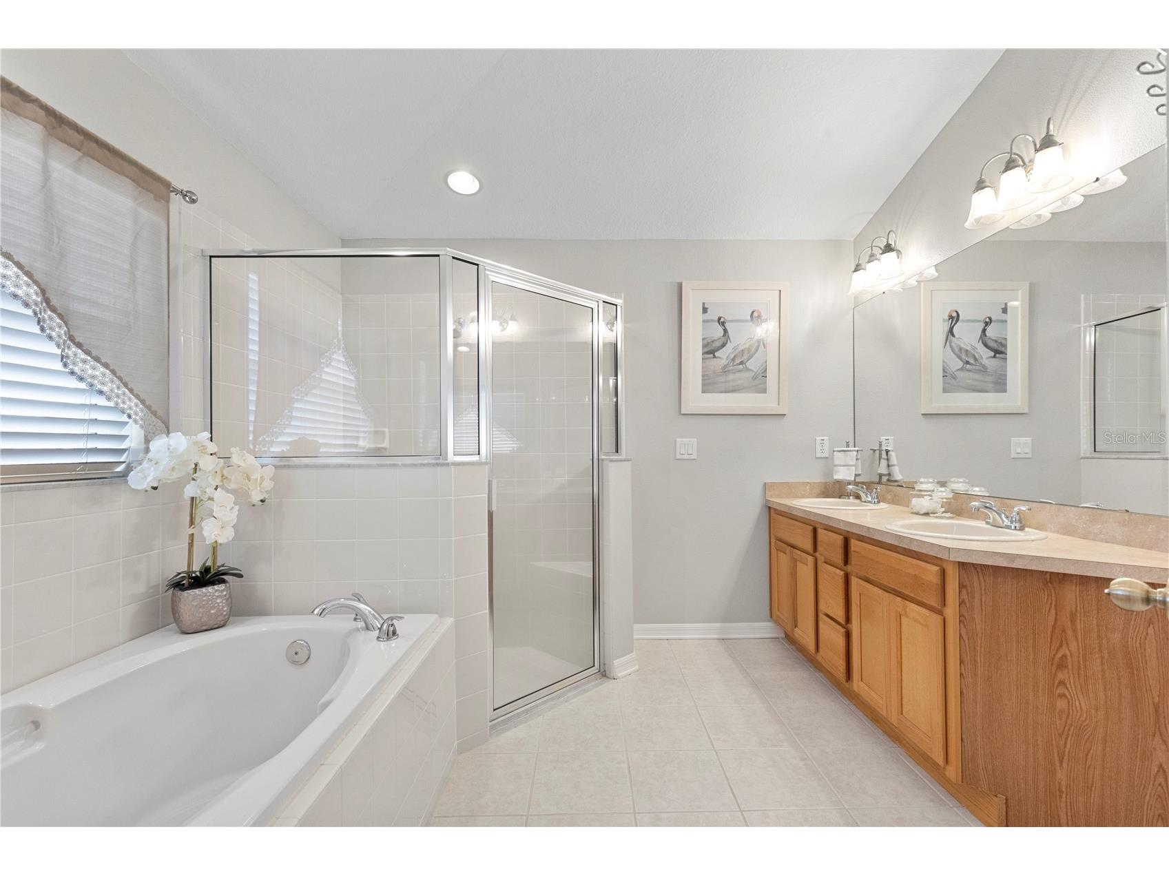 3911 Langdrum Drive Wesley Chapel FL 33543 TB8513320 image29