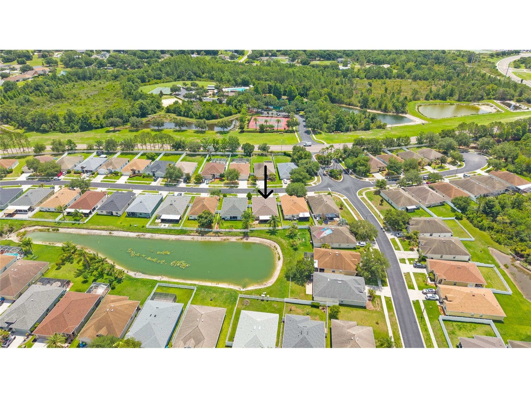 3911 Langdrum Drive Wesley Chapel FL 33543 TB8513320 image3