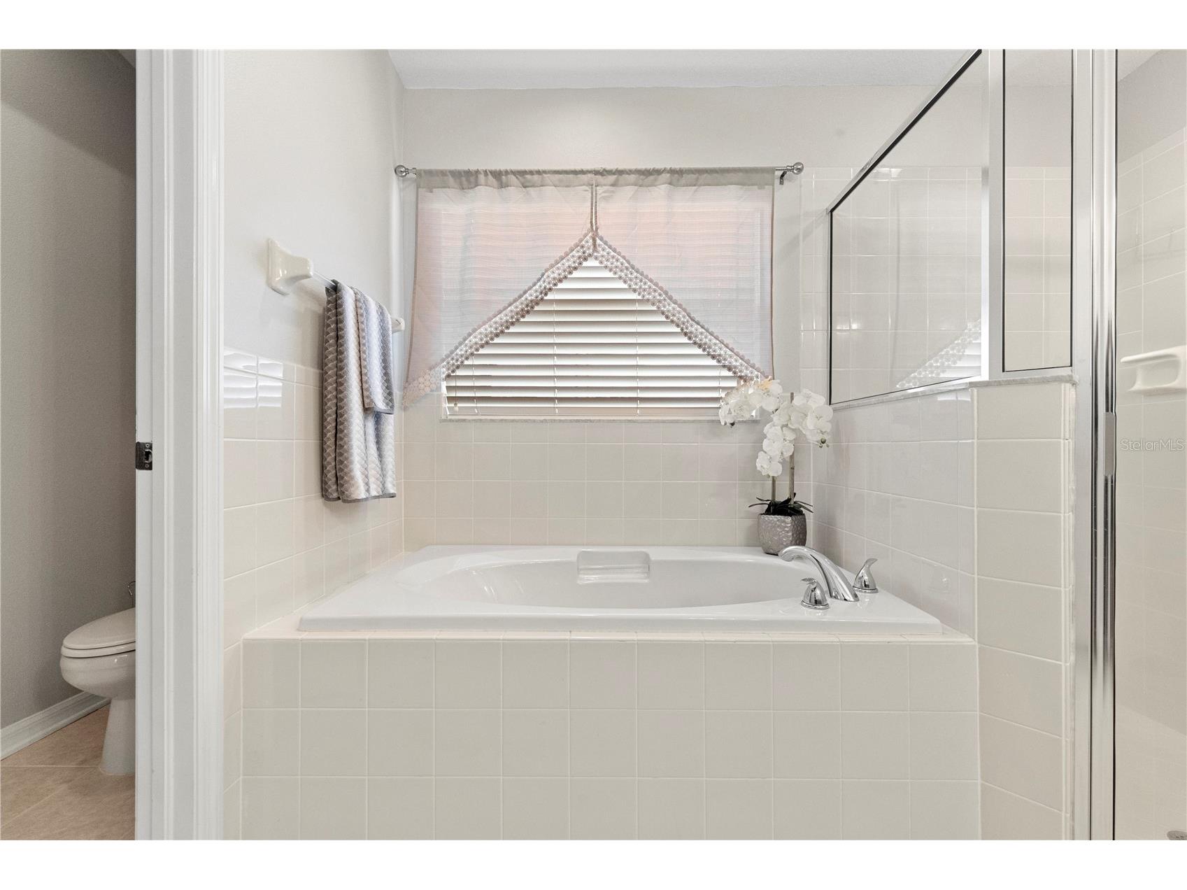 3911 Langdrum Drive Wesley Chapel FL 33543 TB8513320 image30