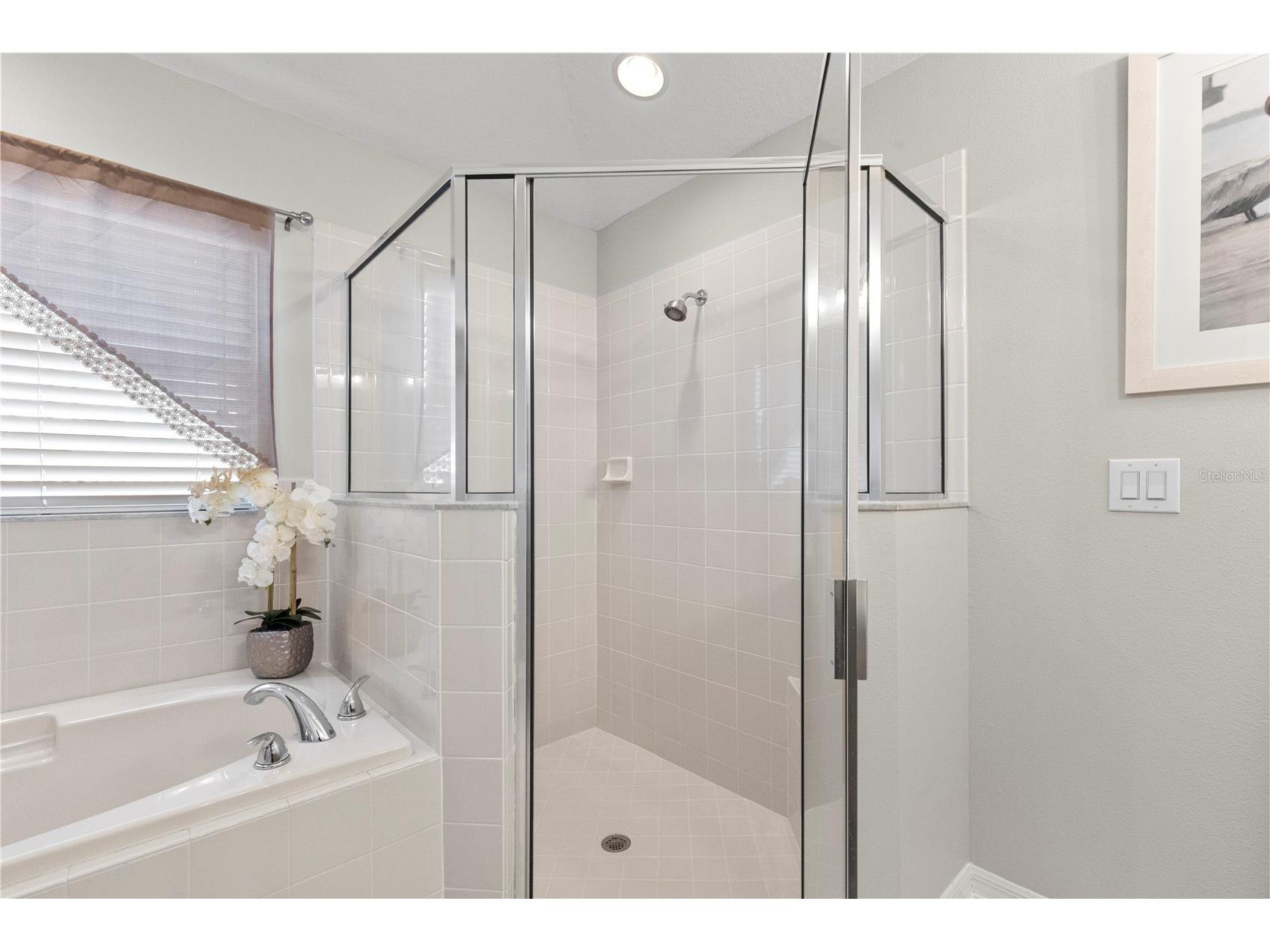 3911 Langdrum Drive Wesley Chapel FL 33543 TB8513320 image31