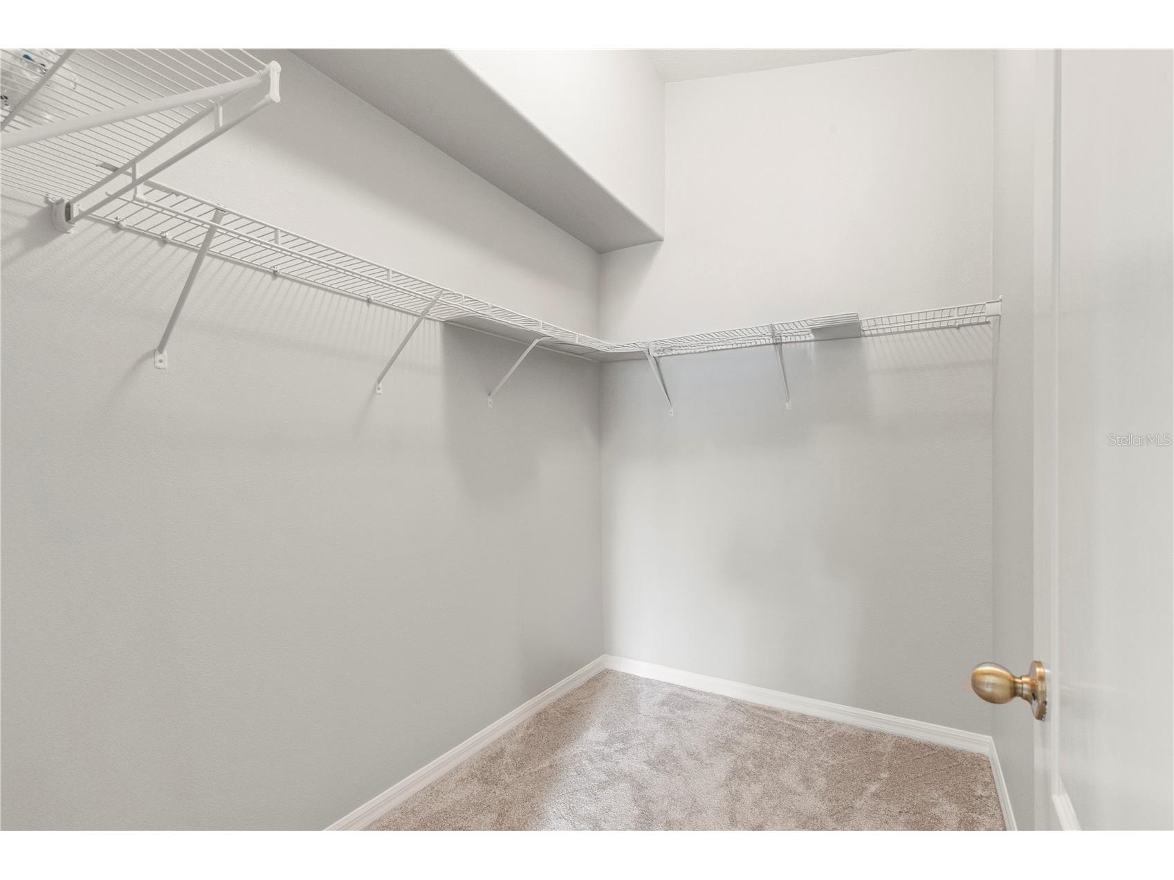 3911 Langdrum Drive Wesley Chapel FL 33543 TB8513320 image35