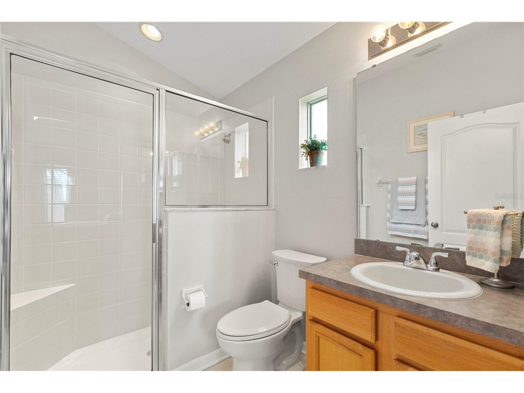 3911 Langdrum Drive Wesley Chapel FL 33543 TB8513320 image36