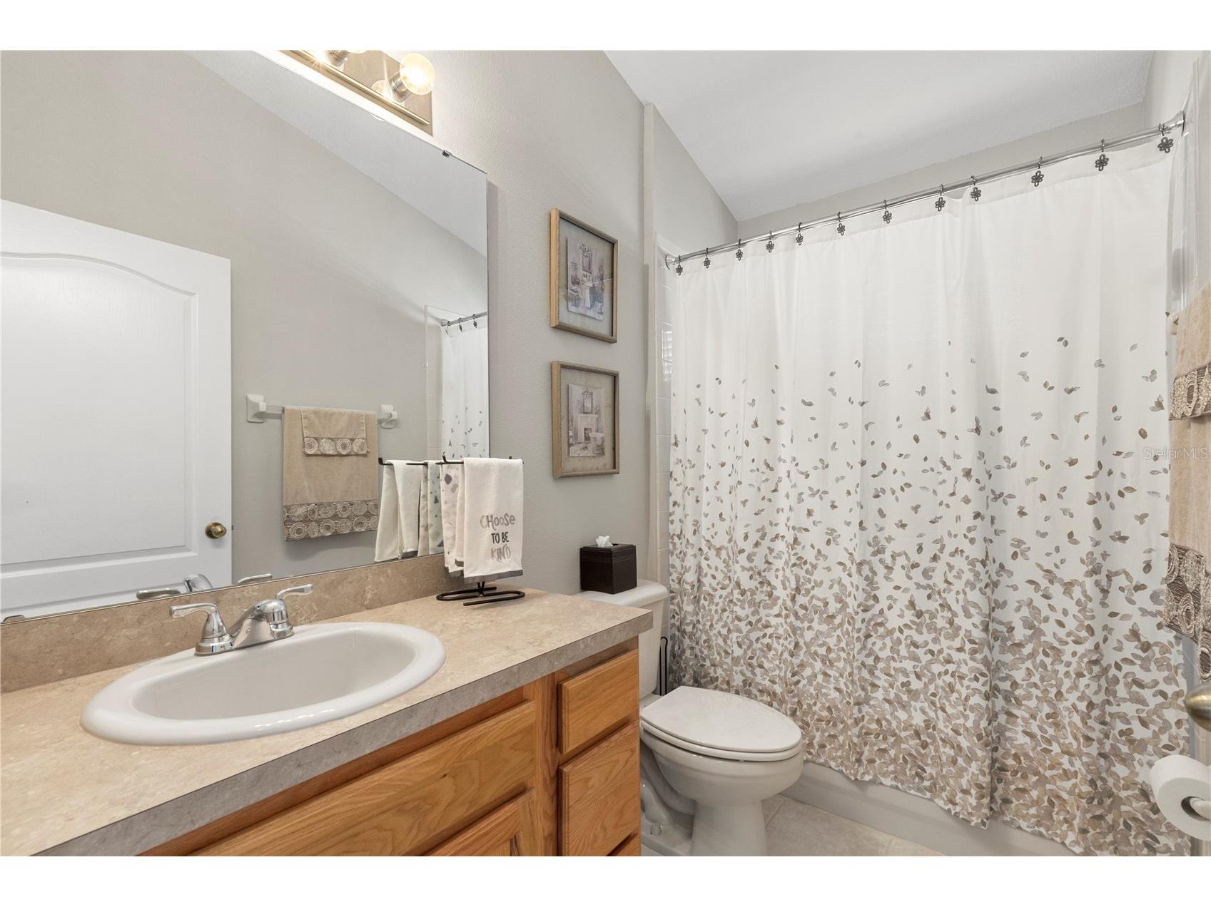 3911 Langdrum Drive Wesley Chapel FL 33543 TB8513320 image40