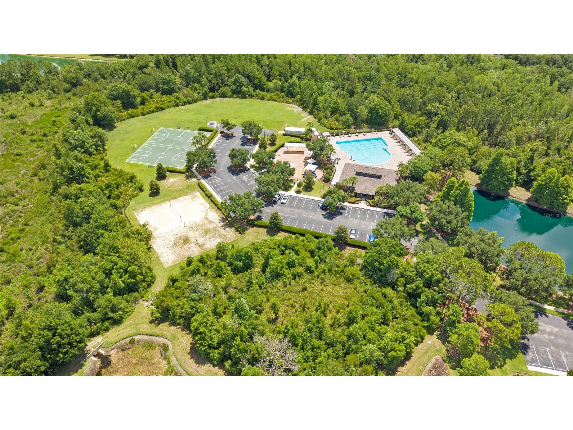 3911 Langdrum Drive Wesley Chapel FL 33543 TB8513320 image58