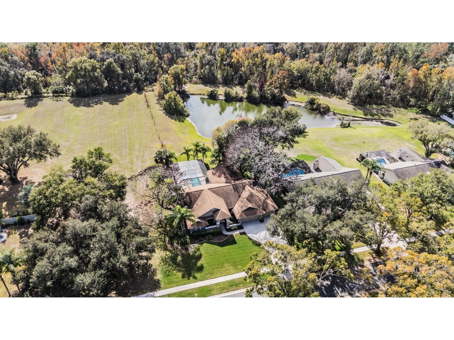 3911 Lithia Ridge Boulevard Valrico FL 33596 TB8458547 image1