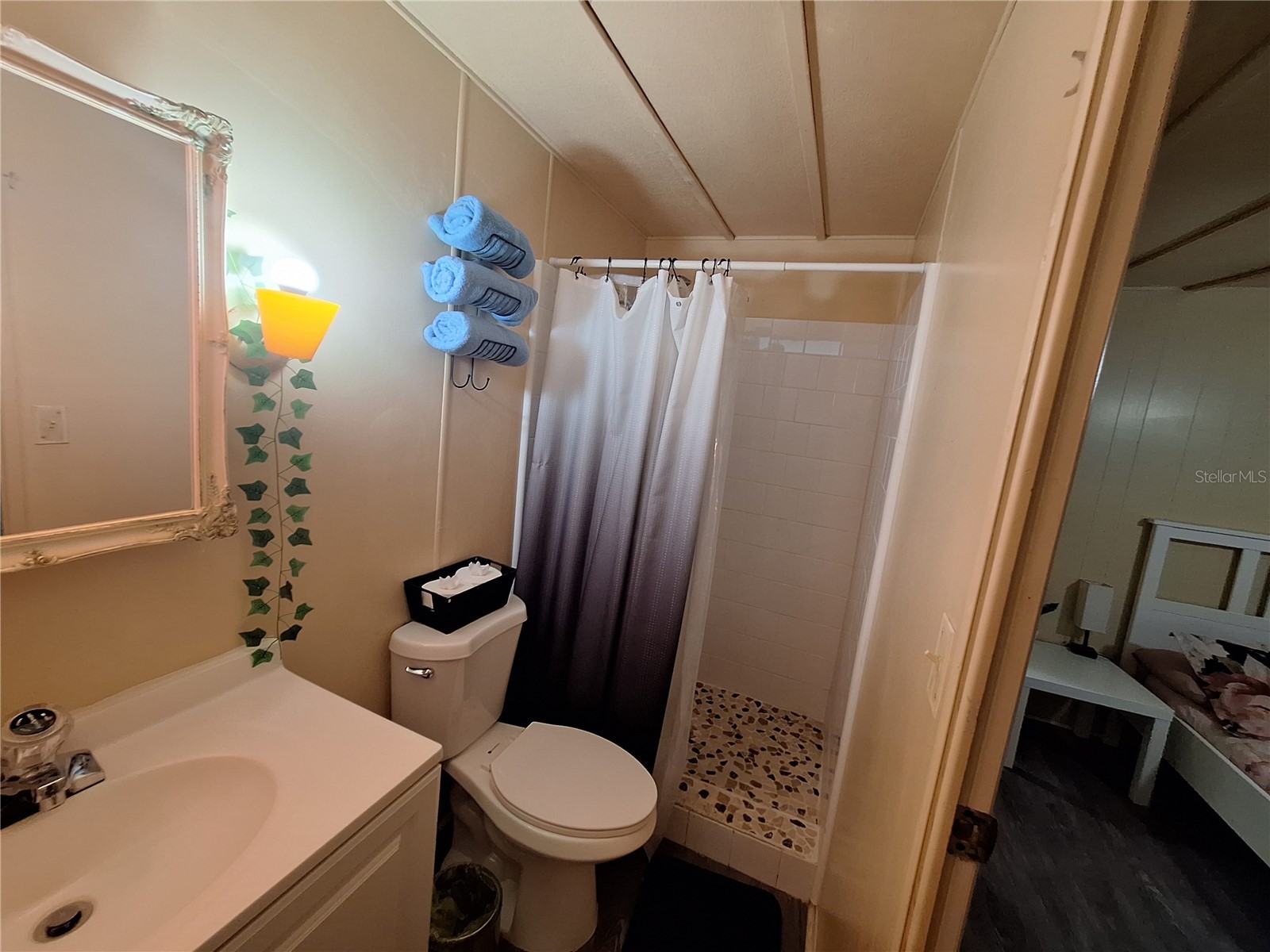 3911 Loury Drive Wesley Chapel FL 33543 TB8524914 image7