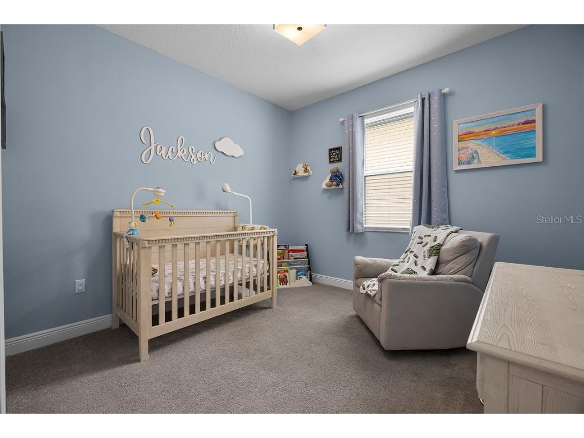 3911 Vista Trace Way Lakeland FL 33810 L4955652 image43