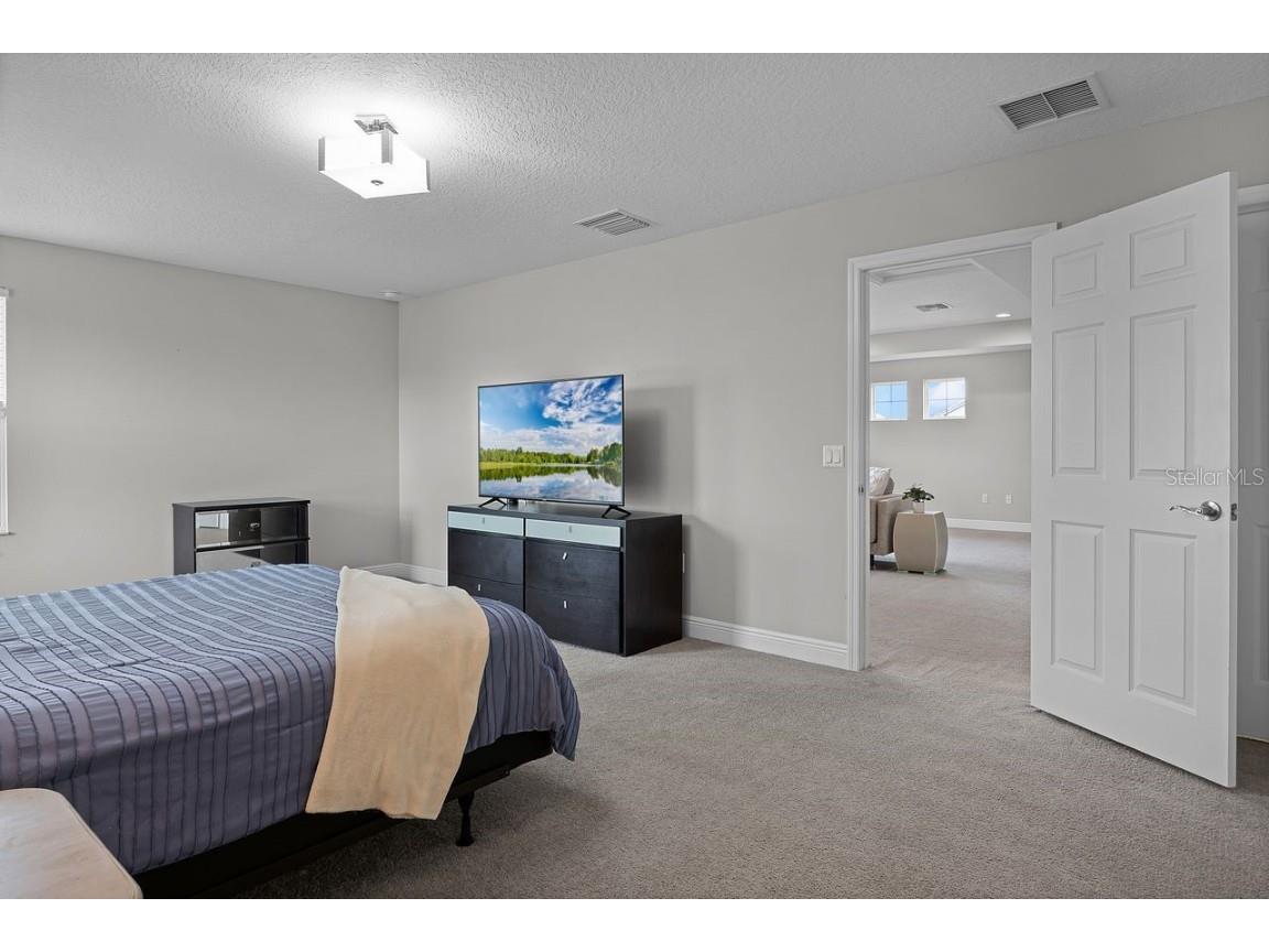 3911 Vista Trace Way Lakeland FL 33810 L4955652 image49