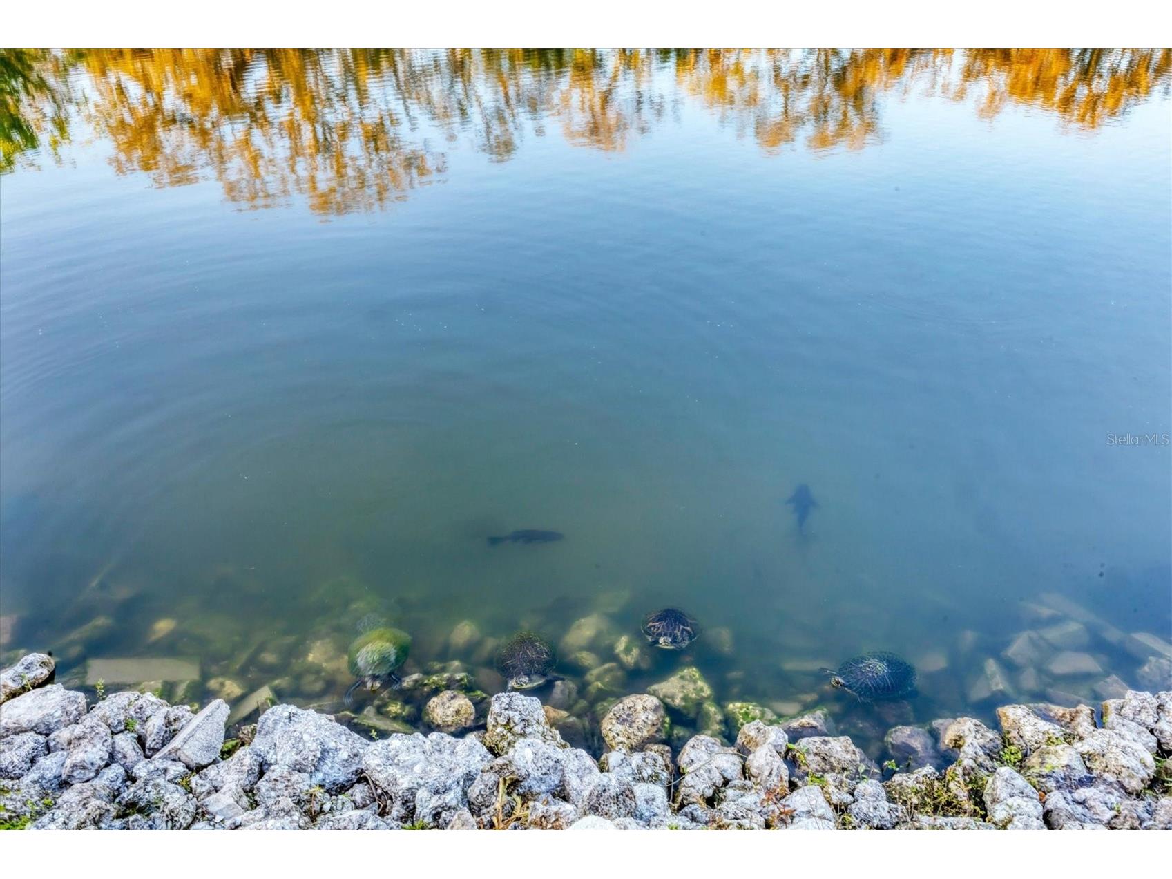 3912 14th Street E Ellenton FL 34222 - GAMBLE LAKE A4682819 image29