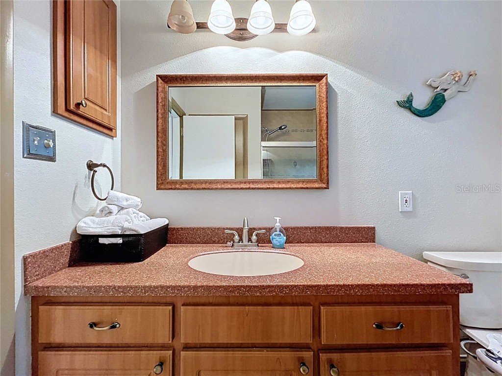 3912 Fontainebleau Drive Tampa FL 33634 TB8411591 image27