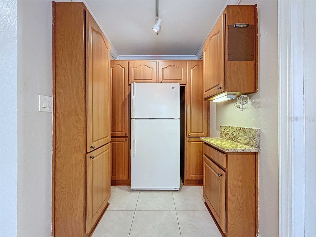 3912 Fontainebleau Drive Tampa FL 33634 TB8411591 image49