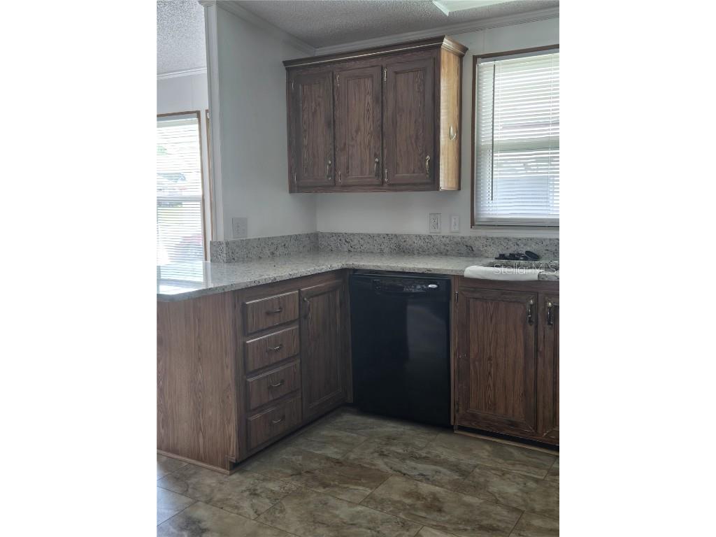 3912 N Citrus Circle #693 Zellwood FL 32798 - LAKE COHEN AND LAKE GRASSMERE O6328771 image14