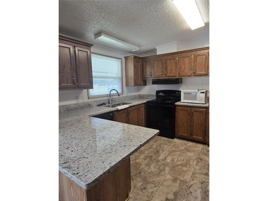 3912 N Citrus Circle #693 Zellwood FL 32798 - LAKE COHEN AND LAKE GRASSMERE O6328771 image16