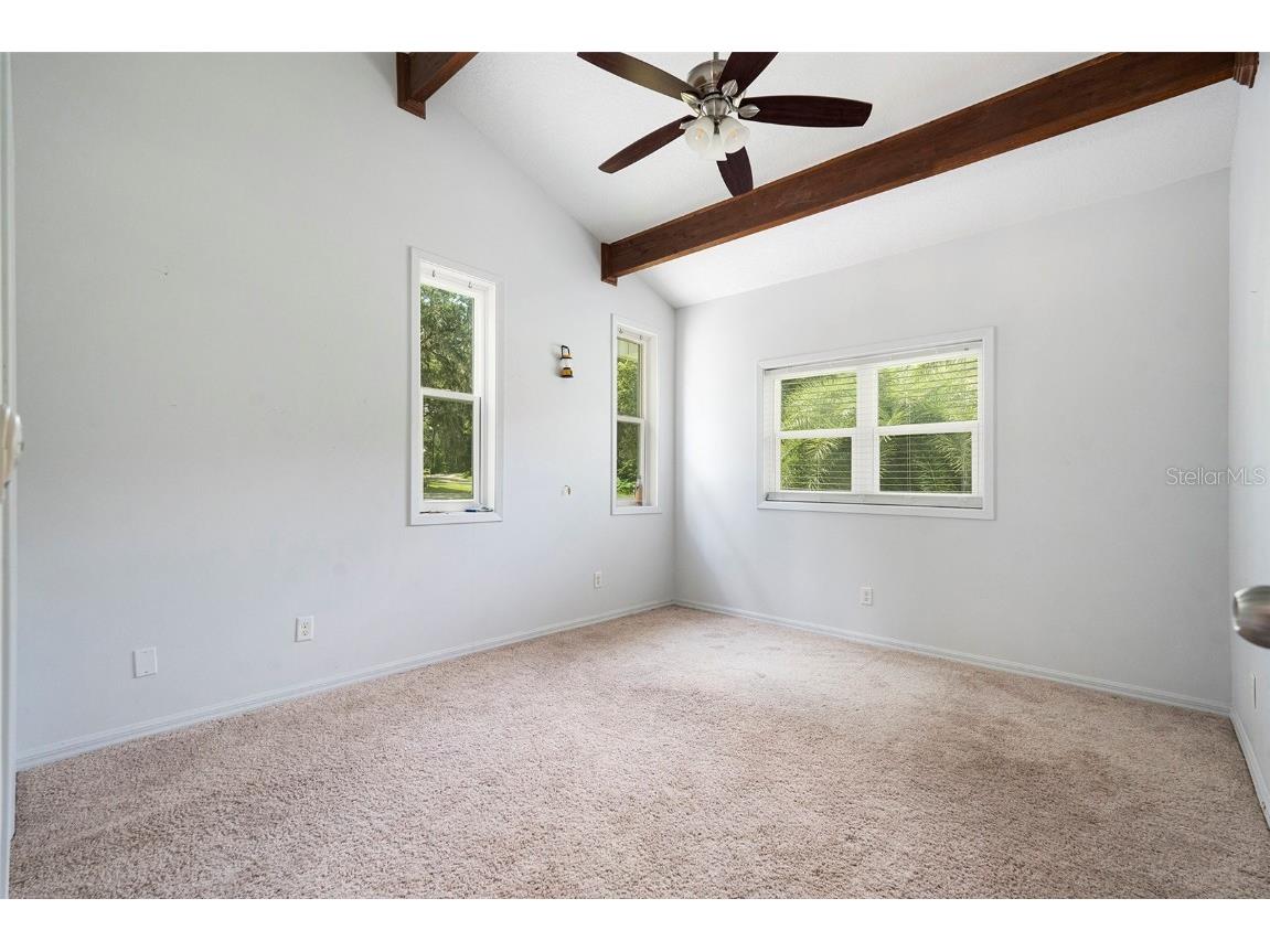 39127 Pretty Pond Road Zephyrhills FL 33540 TB8414971 image23