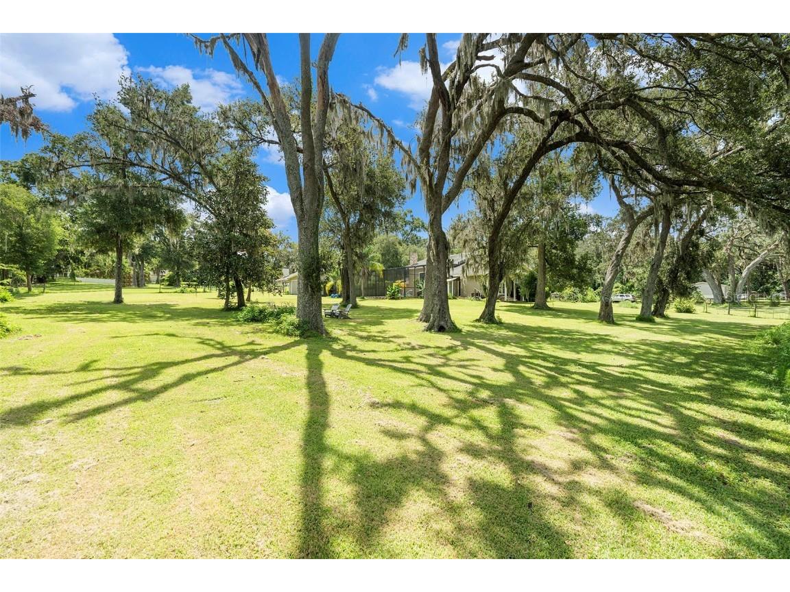 39127 Pretty Pond Road Zephyrhills FL 33540 TB8414971 image32