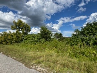 3913 14th Street SW Lehigh Acres FL 33976 C7515478 image10