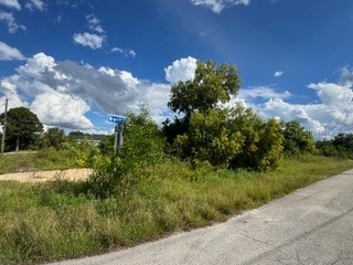 3913 14th Street SW Lehigh Acres FL 33976 C7515478 image3