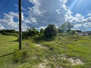 3913 14th Street SW Lehigh Acres FL 33976 C7515478 image6