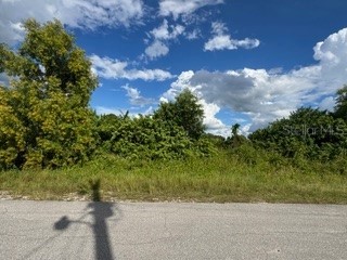 3913 14th Street SW Lehigh Acres FL 33976 C7515478 image8