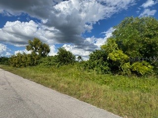 3913 14th Street SW Lehigh Acres FL 33976 C7515478 image9