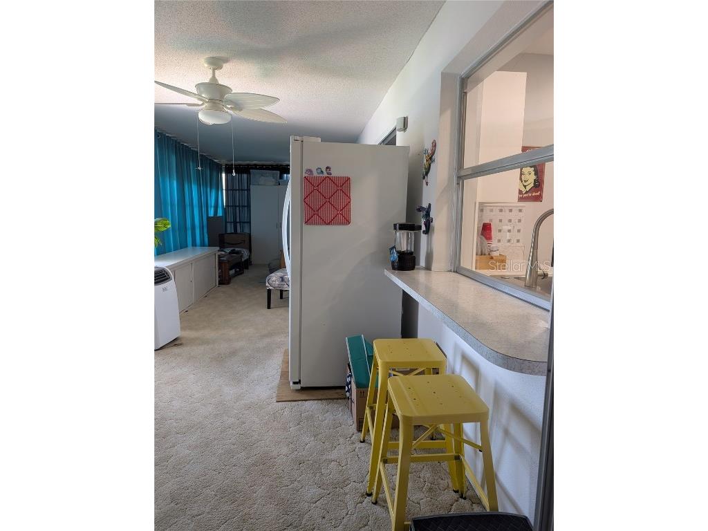 3913 99th Terrace N Pinellas Park FL 33782 TB8416449 image31