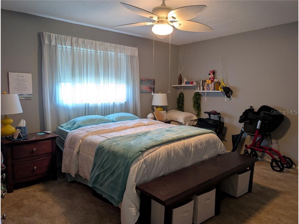 3913 99th Terrace N Pinellas Park FL 33782 TB8416449 image7