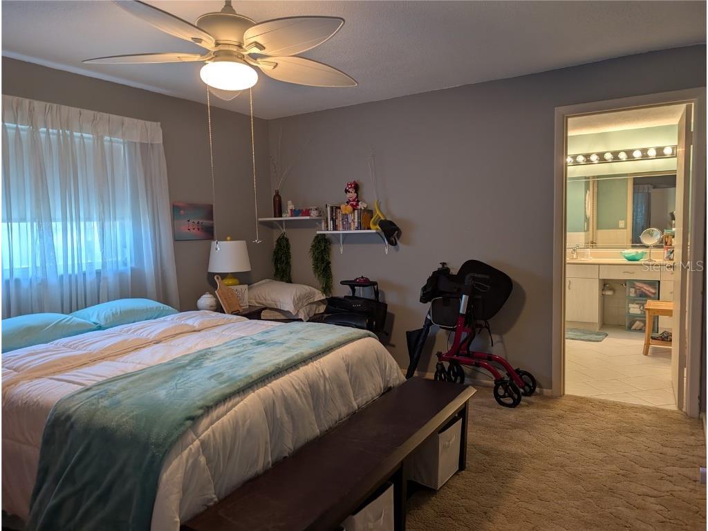 3913 99th Terrace N Pinellas Park FL 33782 TB8416449 image8