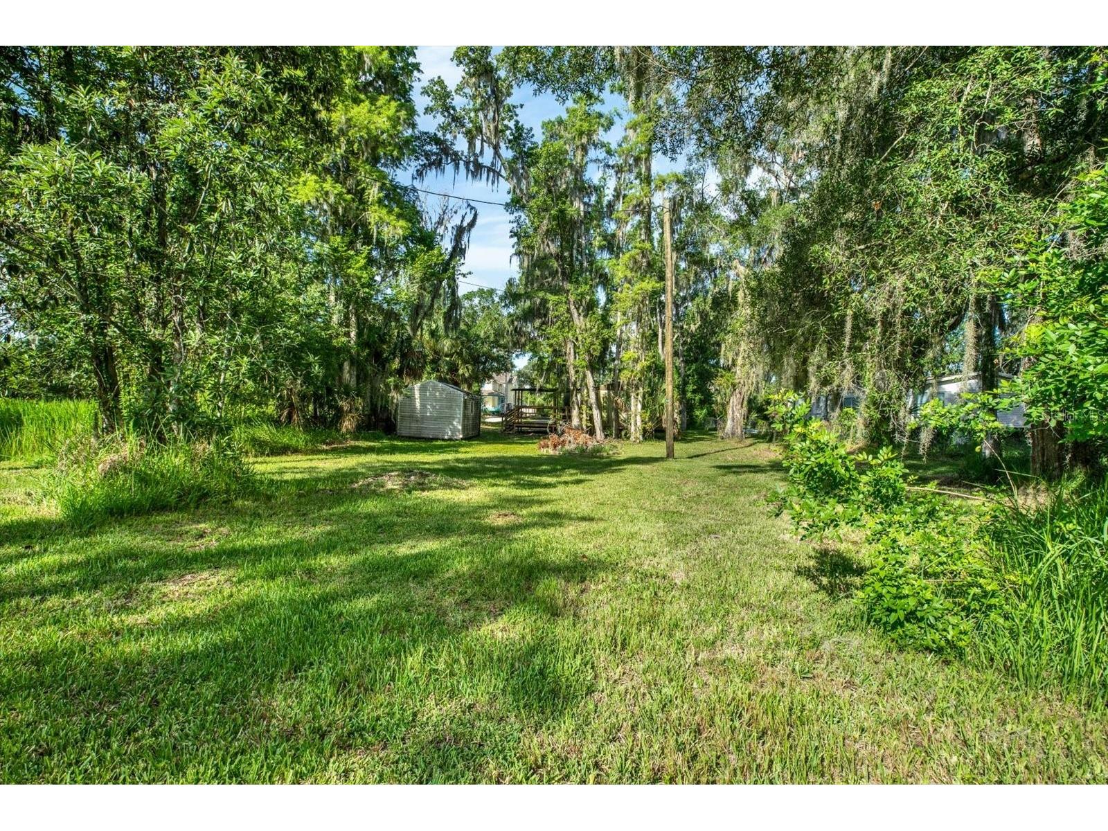 3913 Alafia Boulevard Brandon FL 33511 TB8526940 image11