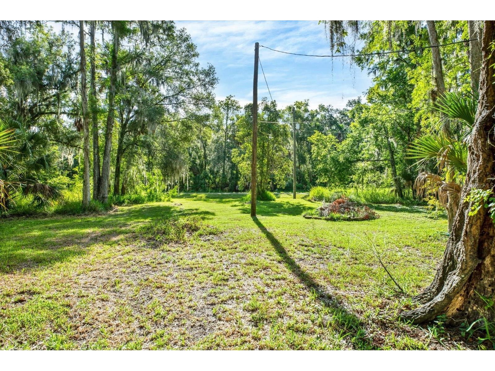 3913 Alafia Boulevard Brandon FL 33511 TB8526940 image13